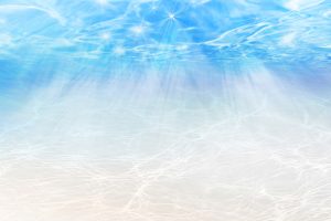私のこと